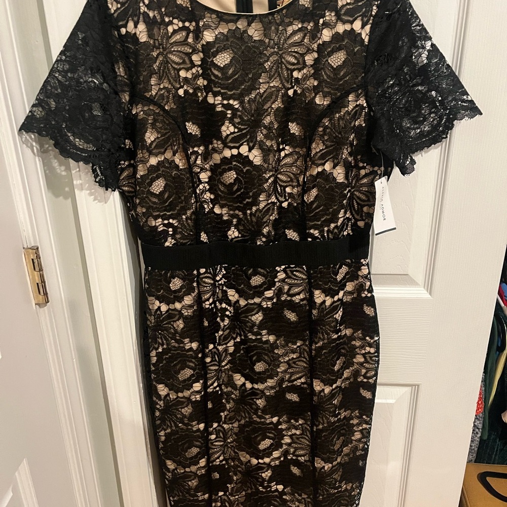 Alexia Admor Black and Tan Sheath Dress with Flutter Sleeves